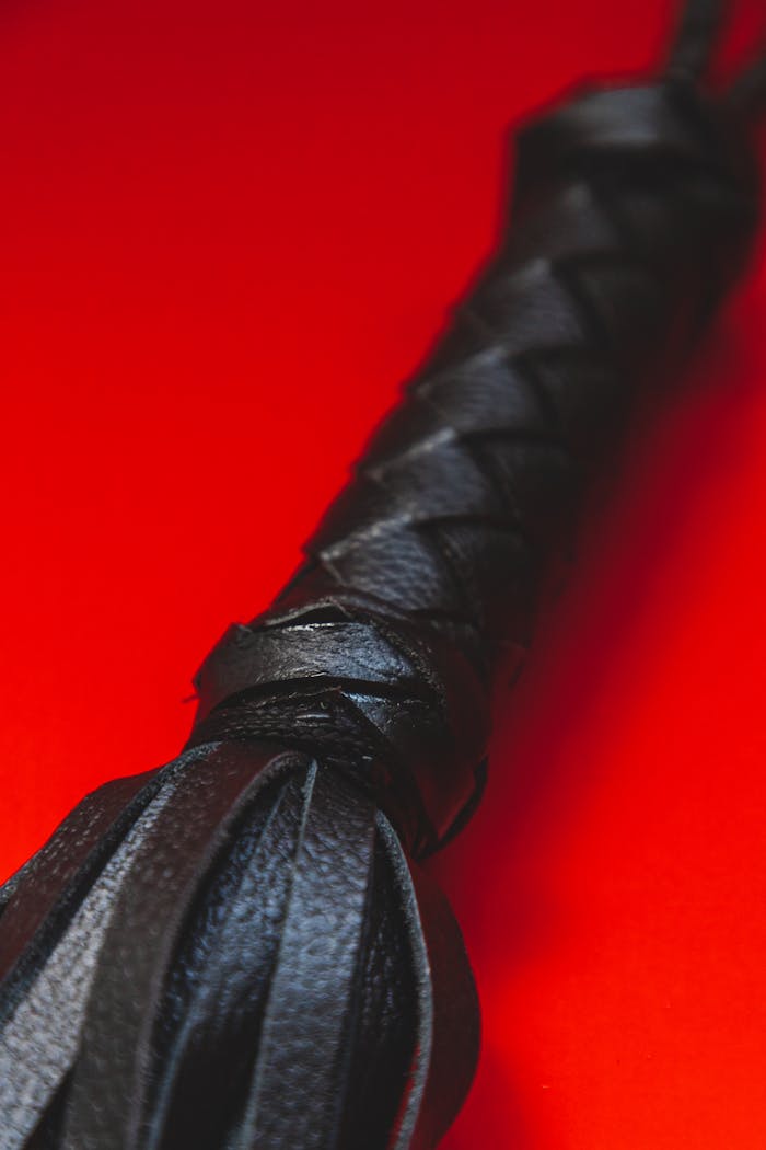 A detailed view of a black leather flogger against a striking red background, perfect for editorial content.